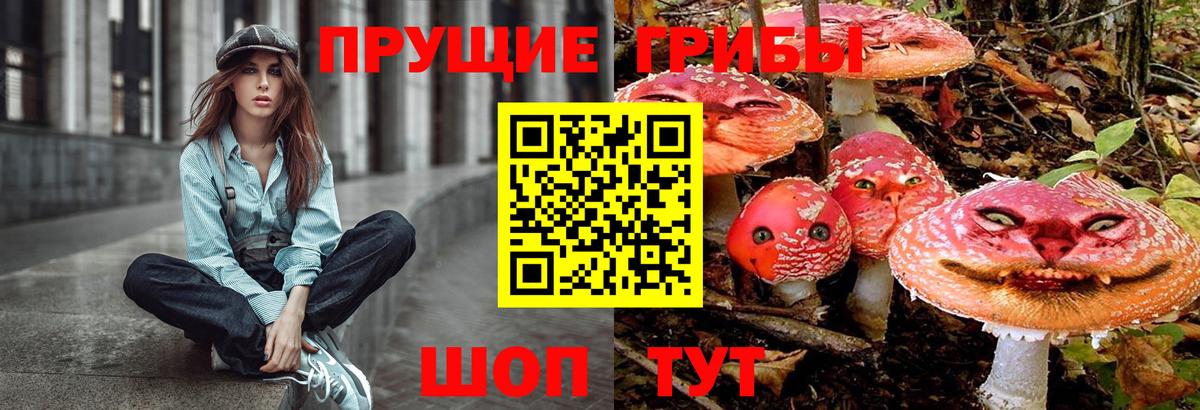 магазин    Вход с VPN  Галлюциногенные грибы Psilocybe  Мирный  Псилоцибиновые грибы MAGIC MUSHROOMS 